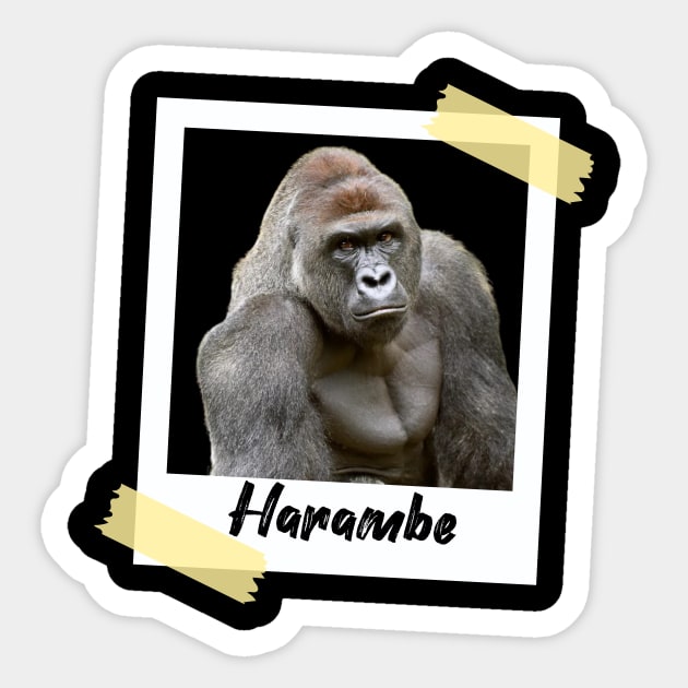 Harambe Polaroid Sticker by AwkwardTurtle